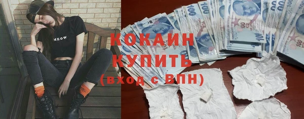 соль ск Алексеевка