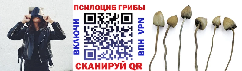 Галлюциногенные грибы Psilocybine cubensis  Каневская 